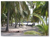 The beach near Hawaii Vacation Home Hale Maluhia La'a