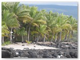The beach near Hawaii Vacation Home Hale Maluhia La'a