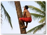 The Big Island Culture