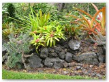 The yard at Hawaii Vacation Home Hale Maluhia La'a