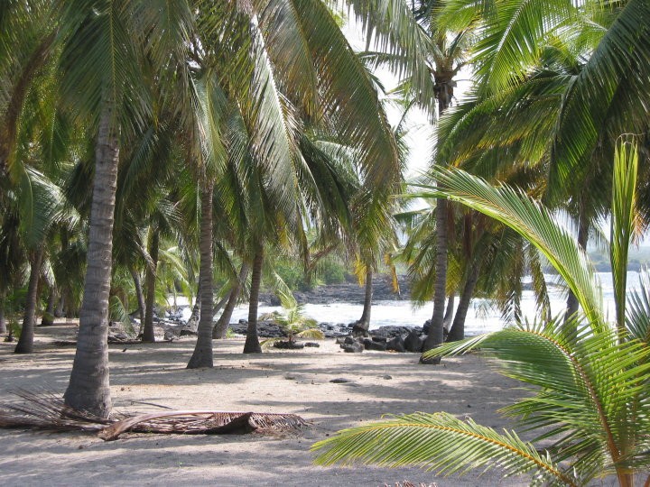 The beach is a short walk away